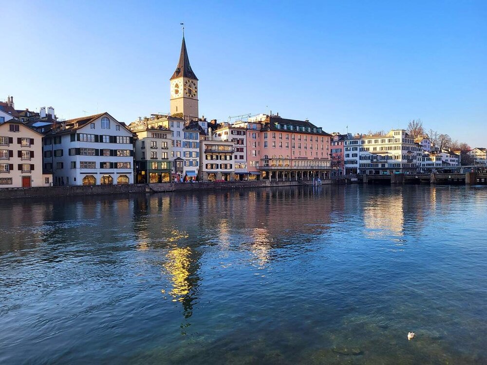 Partnersuche für Tierfreunde in Zürich